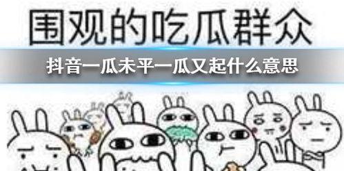 抖音免费吃瓜群号,畅享热门资讯狂欢盛宴 第1张 抖音免费吃瓜群号,畅享热门资讯狂欢盛宴 第1张